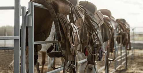 Экипировка для верховой езды