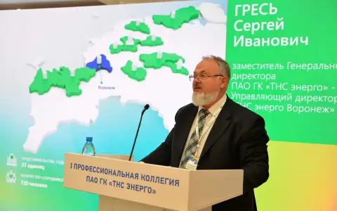 Управляющий директор «ТНС энерго Воронеж» отчитался о работе компании на I коллегии «ТНС энерго»