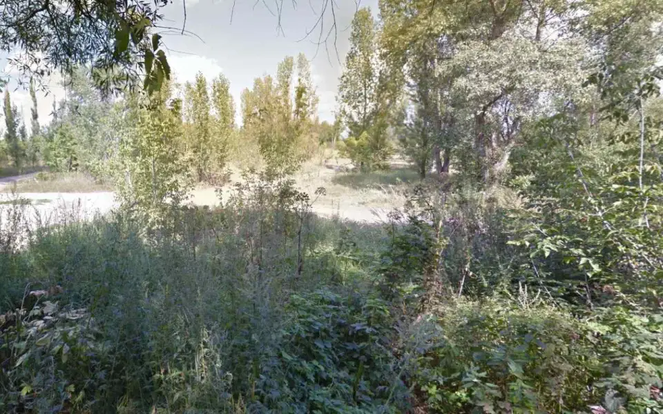 Антон Евсеев переводит участок на берегу воронежского водохранилища у The Vodа под малоэтажную застройку