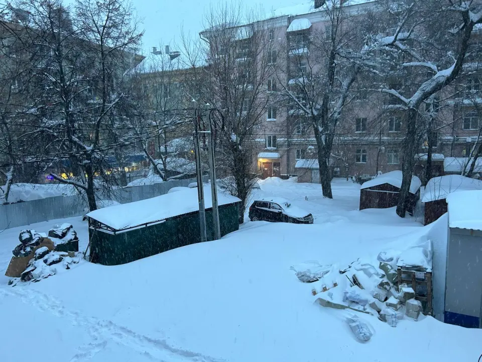 Власти Воронежа призывают депутатов помочь инициативным жителям в организации уборки снега во дворах