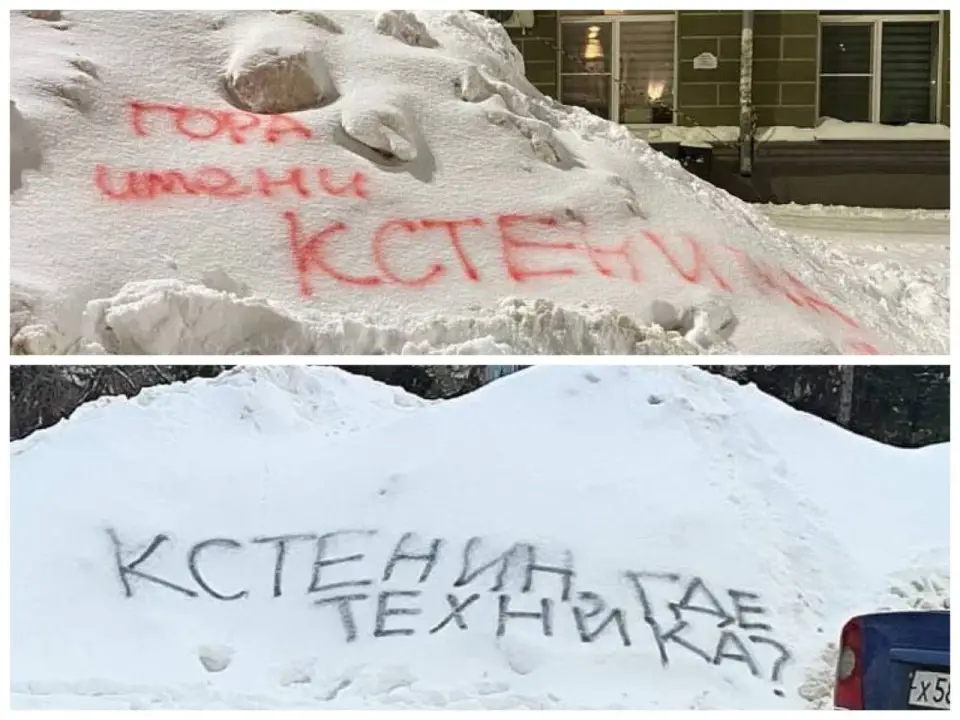 Мэр Воронежа пообещал избавиться от куч снега со своей фамилией в штатном порядке