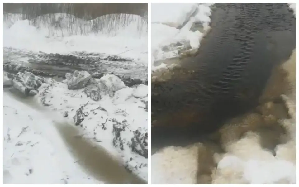 Тамбовский губернатор обвинил ГК «Русагро» в загрязнении реки Царевки