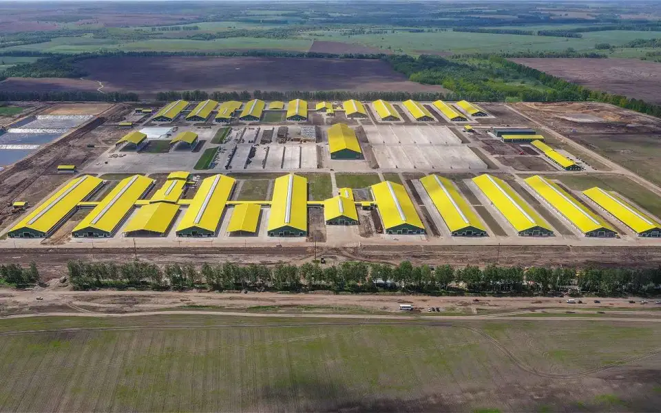Оборот работающей в Курской области группы «Агропромкомплектация» вырос до 160,95 млрд рублей