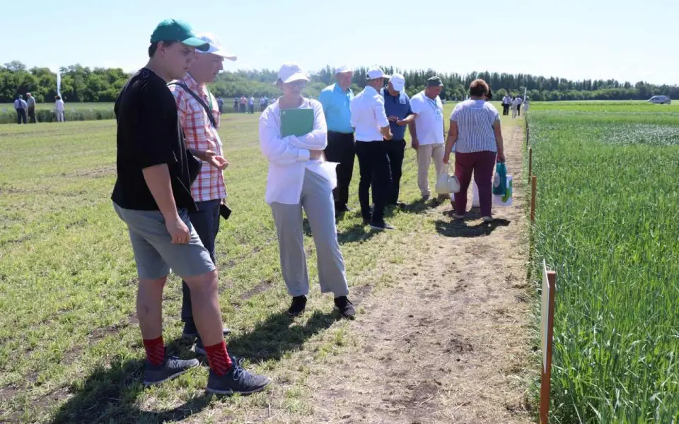 «Пропажа» двух производителей органических продуктов питания не помешала Воронежской области сохранить лидерство в России в соответствующем рейтинге
