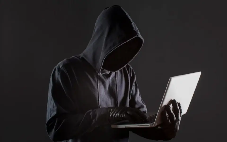 Воронежская область стала лидером в Черноземье по числу DDoS-атак на сайты бизнеса и госорганов