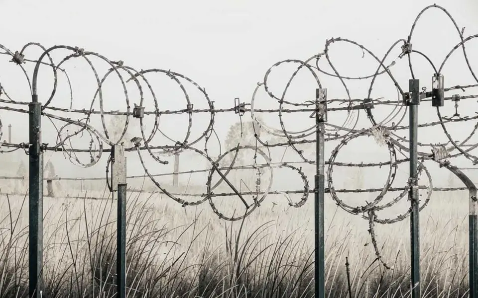 Гособвинение требует посадить белгородскую экс-чиновницу на 21 год по делу о терроризме Гособвинение требует посадить белгородскую экс-чиновницу на 21 год по делу о терроризме