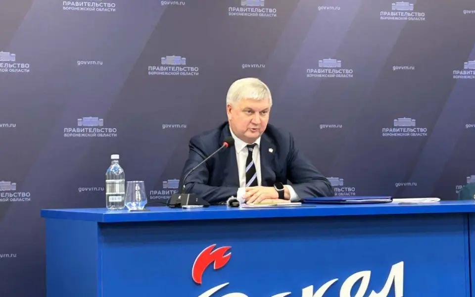 Власти хотят видеть белорусскую компанию подрядчиком многомиллиардного стадиона в Воронеже 