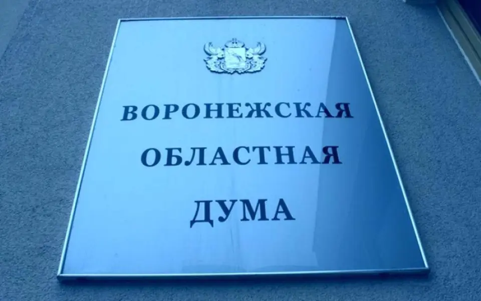 Бизнес и силовики укрепляют позиции: итоги праймериз «Единой России» в Воронежскую облдуму 