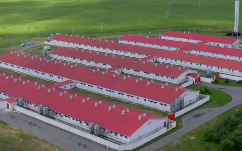 Целью передачи части доли в «Агро-Белогорья» в управление Белгородской области является усиление сотрудничества с регионом Целью передачи части доли в «Агро-Белогорья» в управление Белгородской области является усиление сотрудничества с регионом