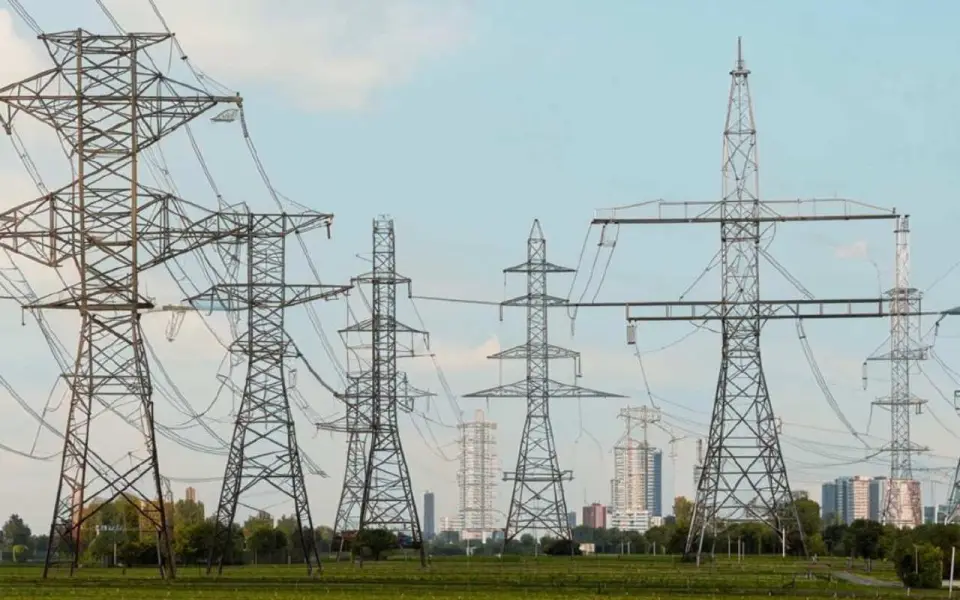 «Верона» оспаривает выплату дивидендов «Воронежской горэлектросети» на 285 млн рублей