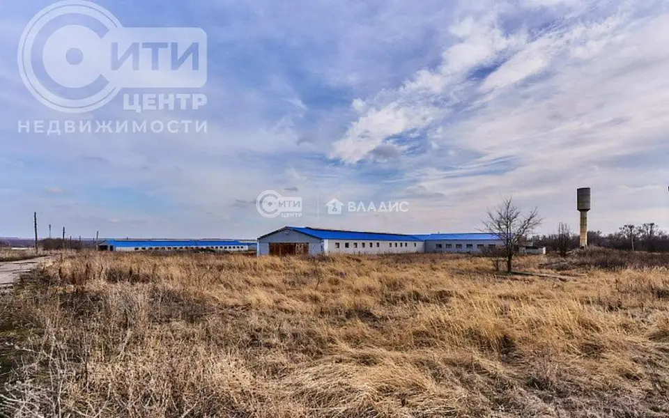 Агрокомплекс за 200 млн рублей выставлен на продажу под Воронежем