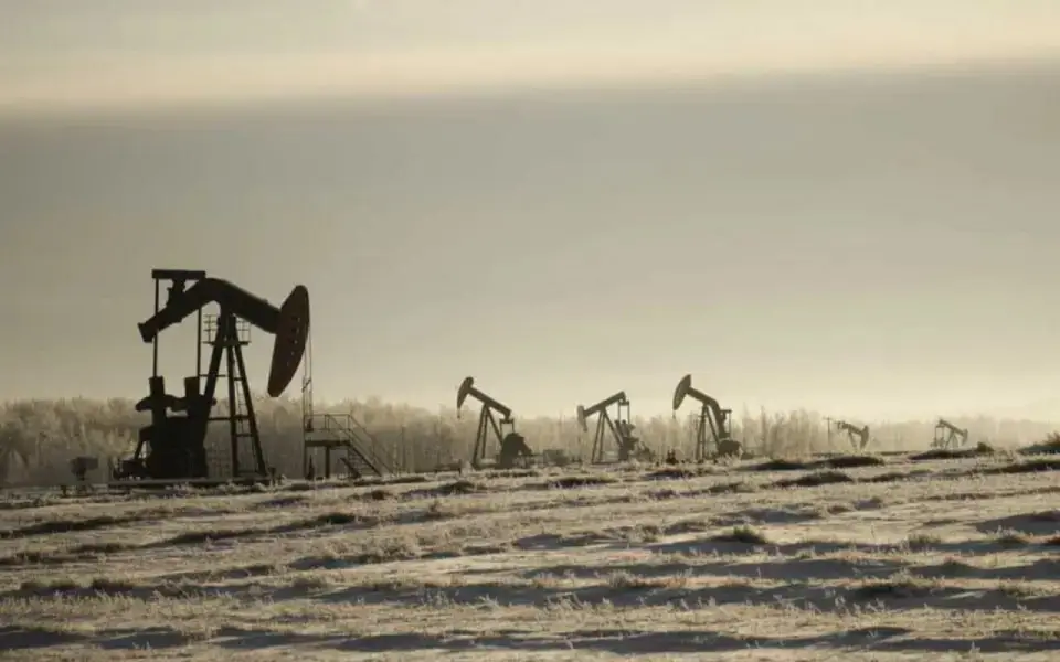 Совладелец Внуково вновь ищет покупателя для нефтяного месторождения в Астраханской области за 1,3 млрд долларов