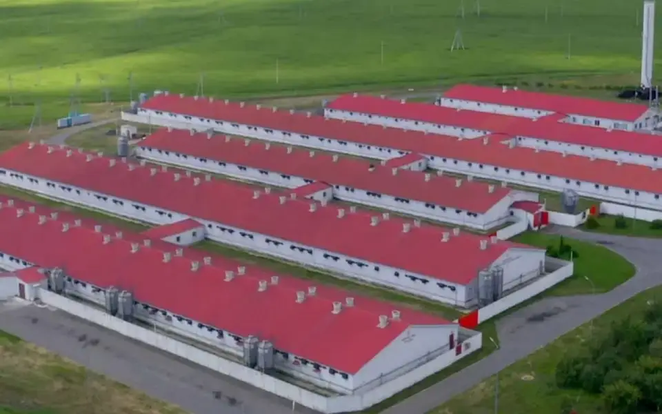 «Агро-Белогорье» потеряло более 1 млрд рублей из-за обстрелов Белгородской области в прошлом году «Агро-Белогорье» потеряло более 1 млрд рублей из-за обстрелов Белгородской области в прошлом году