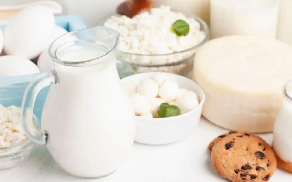 В России начал работать новый стандарт подлинности молока и молочных продуктов