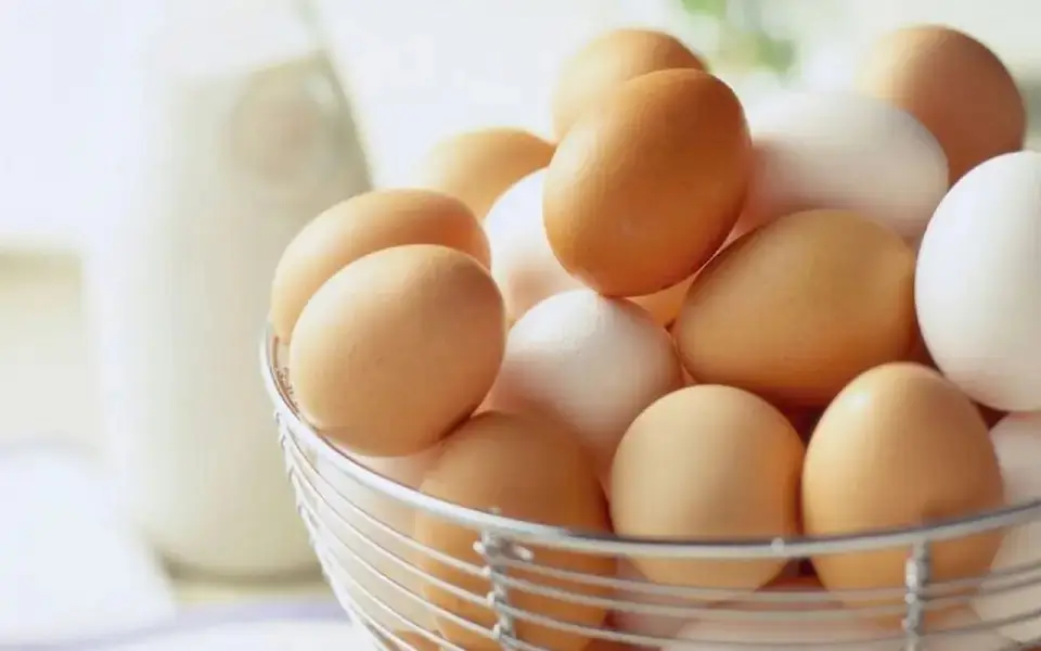 Росптицесоюз предлагает закрепить обязательный объем выкупа продукции для ритейлеров