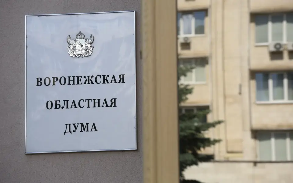 Финансовый срез выборов: кто из кандидатов в депутаты Воронежской облдумы в 2024 году заработал больше остальных