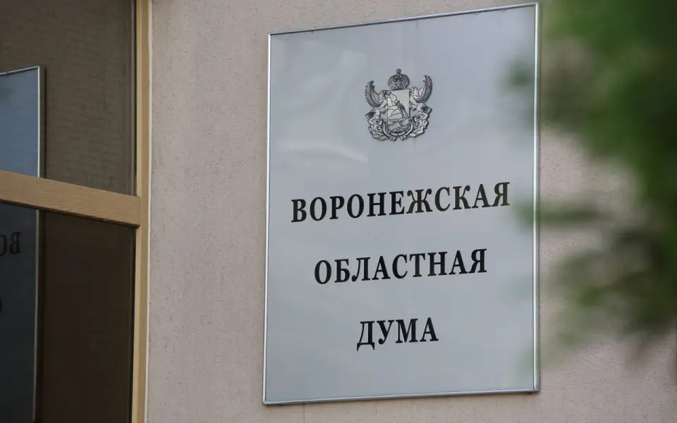 Воронежские партии задекларировали сотни миллионов: «Единая Россия» возглавила рейтинг с 352 млн рублей