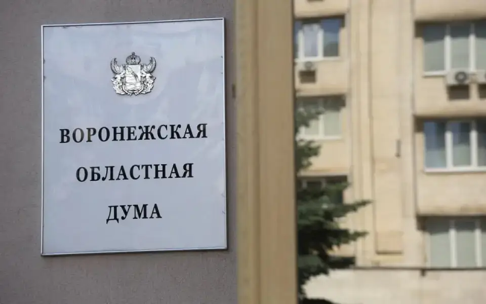 В Воронежскую облдуму по одномандатным округам пока проходят исключительно единороссы 