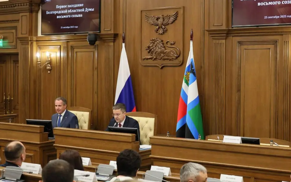 Белгородская областная дума согласовала двух новых замгубернатора