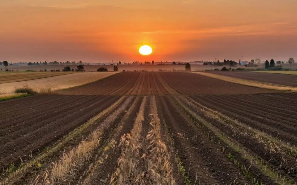 «Агросил» добился запрета КФХ проводить работы на спорном участке в 223 га