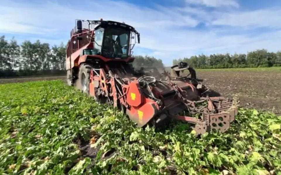 Минсельхоз опроверг распространившуюся информацию о росте цен на сахар Минсельхоз опроверг распространившуюся информацию о росте цен на сахар