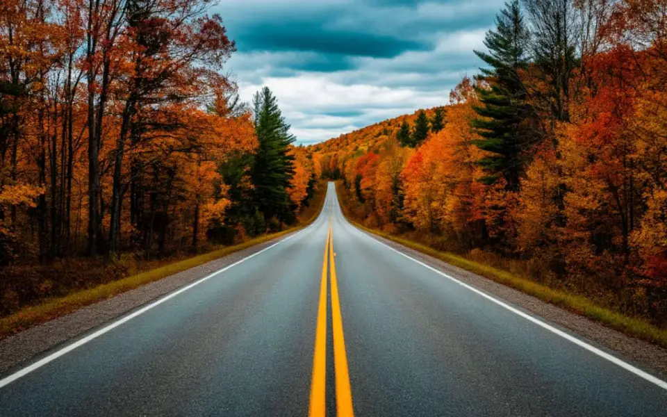 Столичный кредитор намерен обанкротить тамбовского подрядчика  Столичный кредитор намерен обанкротить тамбовского подрядчика