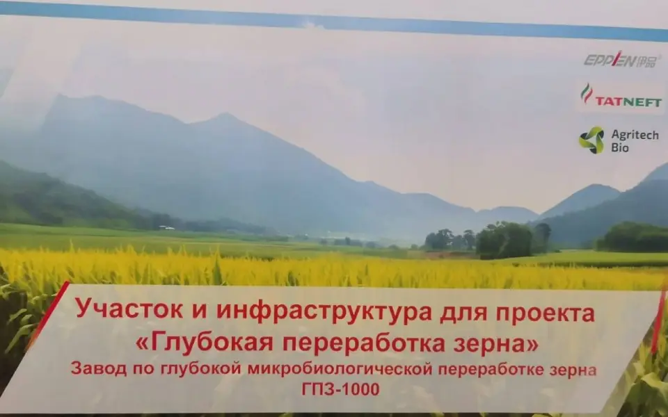 «Татнефть» построит производство треонина и лизина под Воронежем за 29 млрд рублей