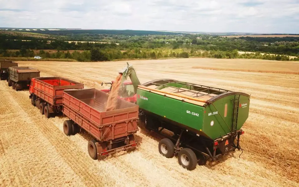 Суд оставил без движения банкротный иск Сбербанка к воронежской компании «Лилиани» 