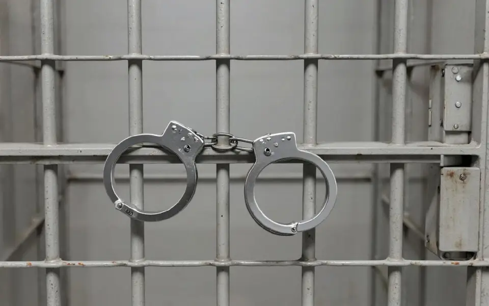 Суд отправил экс-замглаву орловского депздрава Светлану Жирову на три года в колонию 