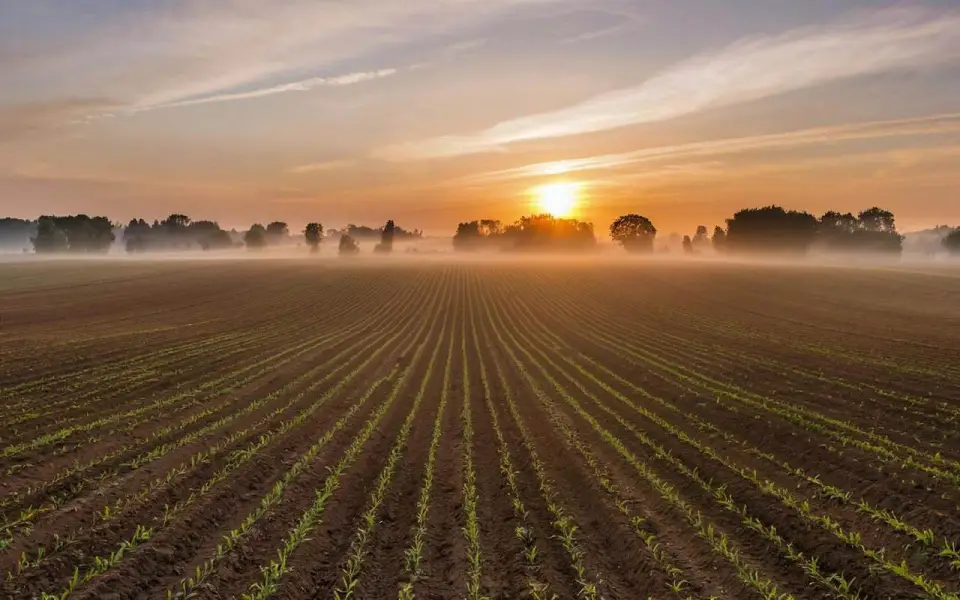 Прокуратура Липецкой области оспорила договор аренды земельного участка площадью 73 га Прокуратура Липецкой области оспорила договор аренды земельного участка площадью 73 га