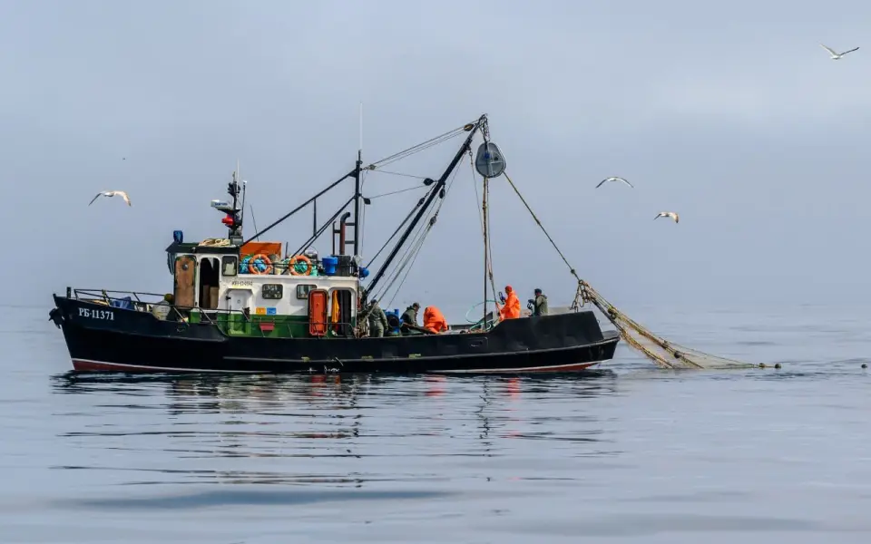 Мишустин поручил расширить закупки и перевозки рыбы для нужд страны