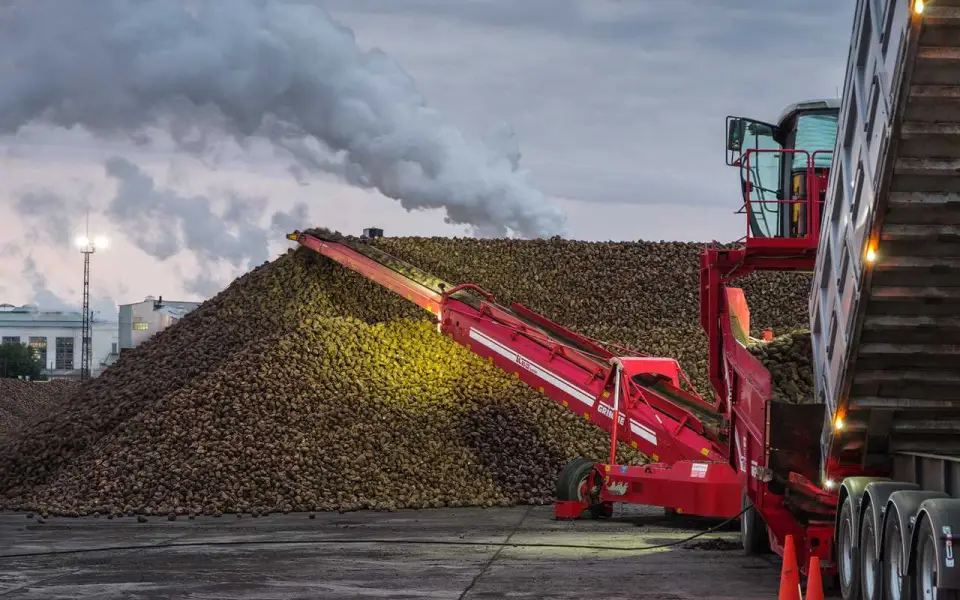 «Продимекс» убрал 98% от плановой площади сахарной свеклы в Воронежской области «Продимекс» убрал 98% от плановой площади сахарной свеклы в Воронежской области