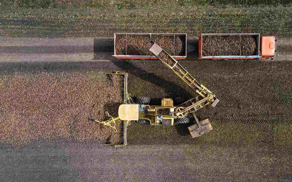 Заводы «Продимекса» в Воронежской области переработали более 3,3 млн т сахарной свеклы