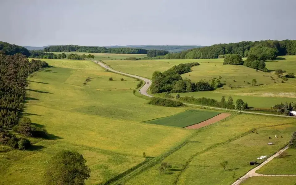Экс-главу сельсовета в Липецкой области будут судить за продажу 300 га земли по заниженной цене
