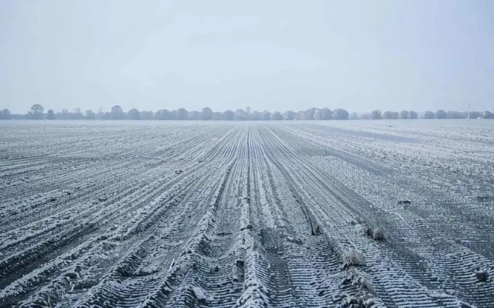 Агропромышленный комплекс Орловской области переведен в режим ЧС 