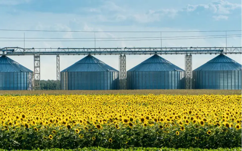 С воронежской структуры ГК «Благо» взыскали почти 100 млн рублей
