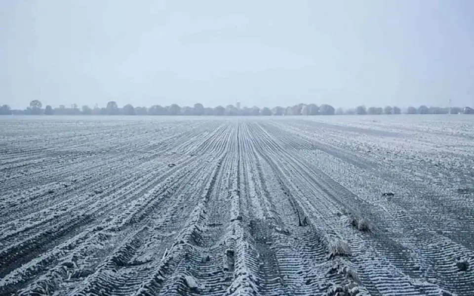 Агростраховщики взяли на контроль ЧС в Орловской области из-за переувлажнения почвы Агростраховщики взяли на контроль ЧС в Орловской области из-за переувлажнения почвы