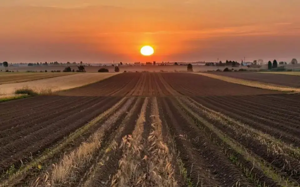 Воронежский «Агросорос Трейд» подал иск к курскому сельхозпроизводителю на 58 млн рублей