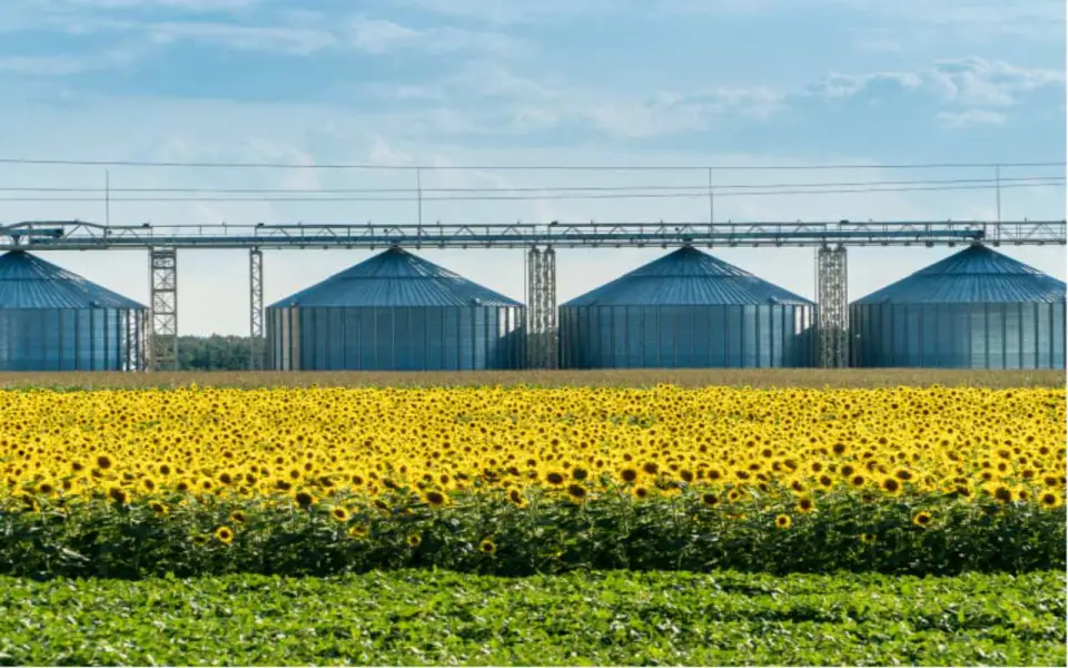 Встречный иск «Благо-верхней Хавы» к тульской «Искре» на 101 млн рублей передан в суд Воронежской области Встречный иск «Благо-верхней Хавы» к тульской «Искре» на 101 млн рублей передан в суд Воронежской области