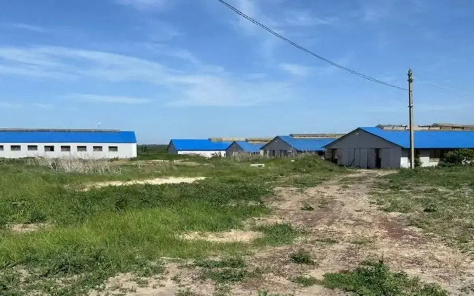 Животноводческий комплекс за 280 млн рублей продают под Воронежем Животноводческий комплекс за 280 млн рублей продают под Воронежем