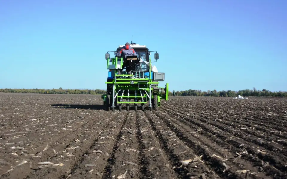 Воронежская агрокомпания расширяет бизнес через присоединение подконтрольной организации Воронежская агрокомпания расширяет бизнес через присоединение подконтрольной организации