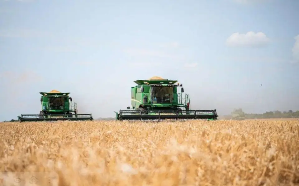 Хозяйства «ЭкоНивы» собрали 1,2 млн тонн товарных культур Хозяйства «ЭкоНивы» собрали 1,2 млн тонн товарных культур