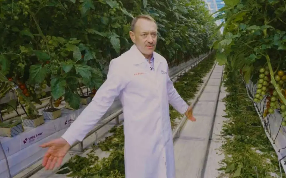 «Это сельское хозяйство, мы же не патроны производим»: владелец воронежской «Эко-культуры» высказался о болях агрария при работе с сетями «Это сельское хозяйство, мы же не патроны производим»: владелец воронежской «Эко-культуры» высказался о болях агрария при работе с сетями