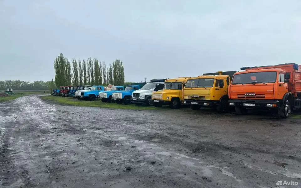 Сельскохозяйственное предприятие выставлено на продажу в Воронежской области за 325 млн рублей Сельскохозяйственное предприятие выставлено на продажу в Воронежской области за 325 млн рублей