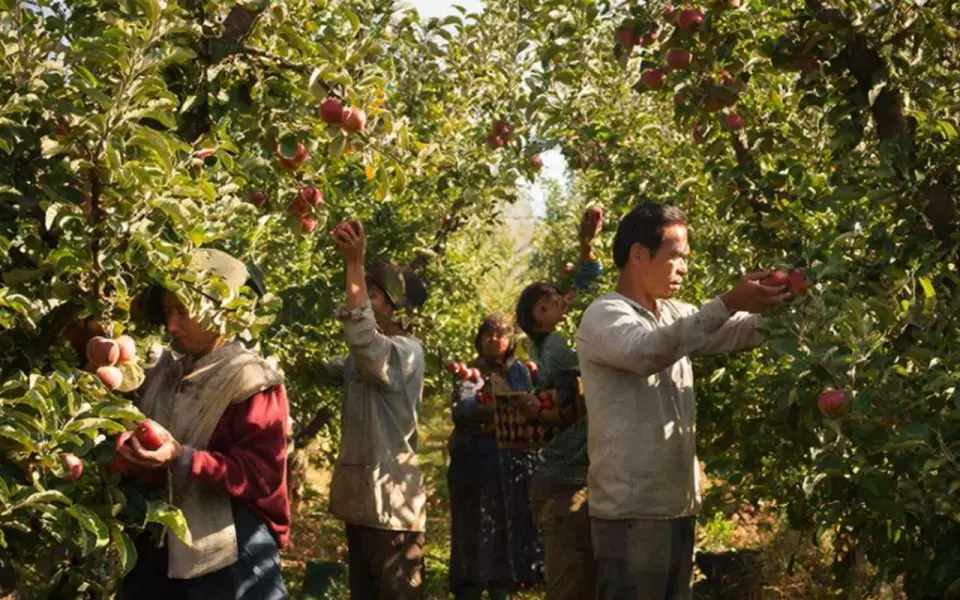 Владелец воронежской ЦЧПЯК отказался комментировать информацию о рабском труде на его предприятии Владелец воронежской ЦЧПЯК отказался комментировать информацию о рабском труде на его предприятии