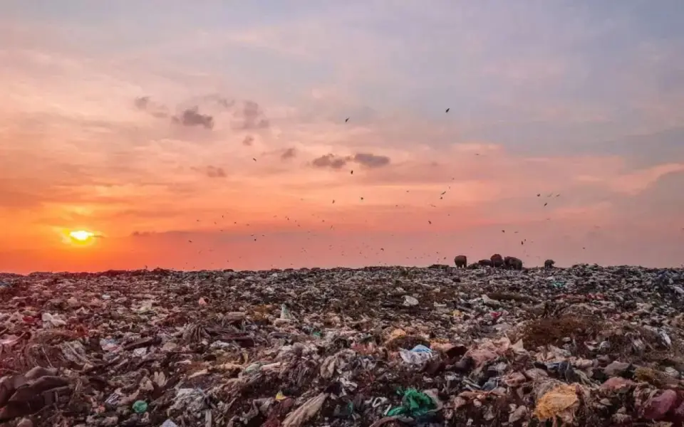 Росприроднадзор требует с администрации Новоусманского района более 16 млн рублей за нелегальную свалку Росприроднадзор требует с администрации Новоусманского района более 16 млн рублей за нелегальную свалку