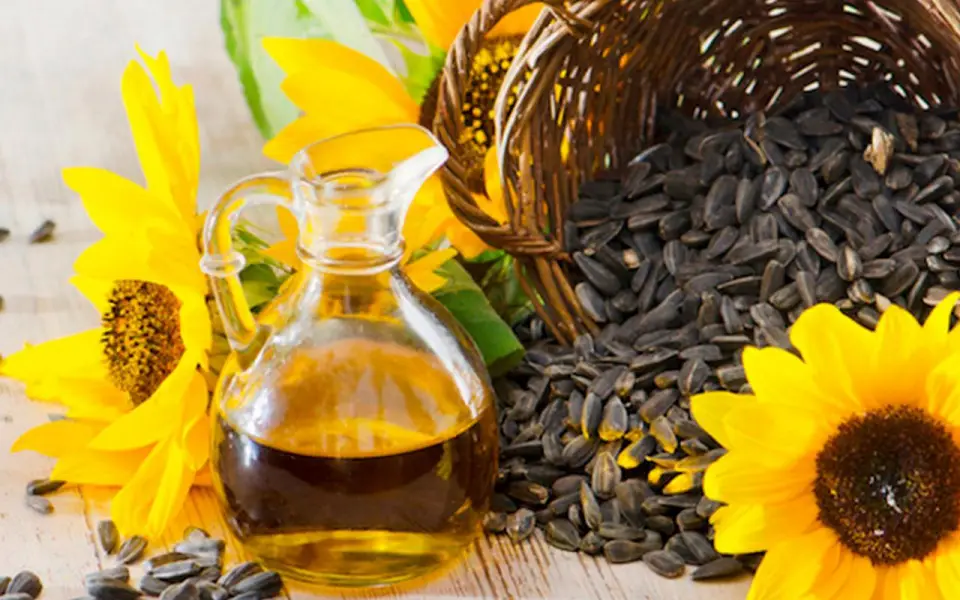 «Эксойл» удвоит переработку в 2026 году за счет запуска соевого завода в Липецкой области