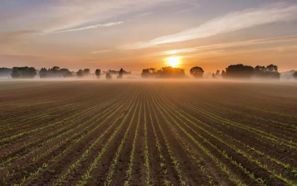 Липецкий «Сентябрь» отсудил проценты за недопоставку рапса у тверской компании