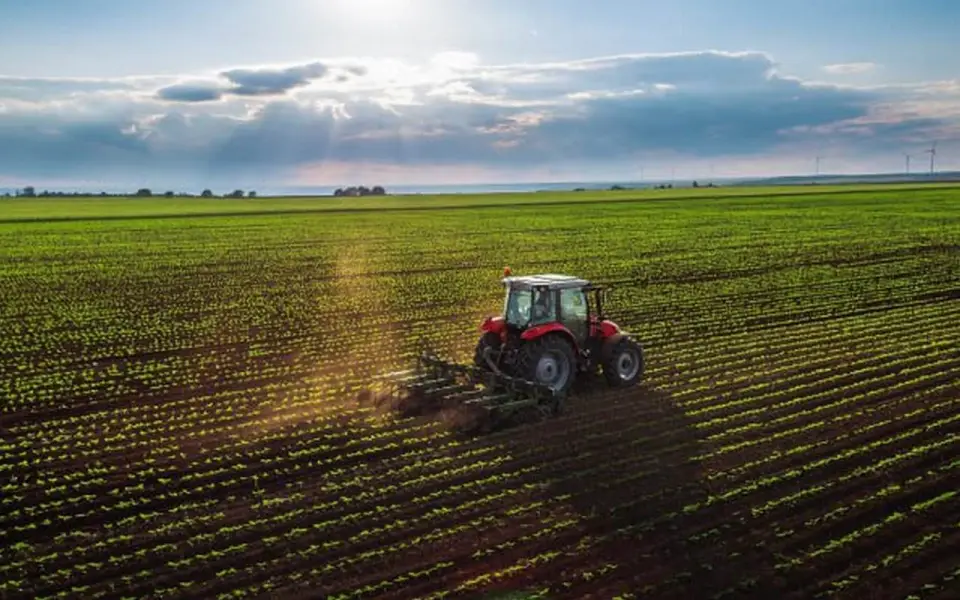 Более 370 млн рублей планируется направить в Белгородской области на поддержку субъектов МСП в агросекторе Более 370 млн рублей планируется направить в Белгородской области на поддержку субъектов МСП в агросекторе