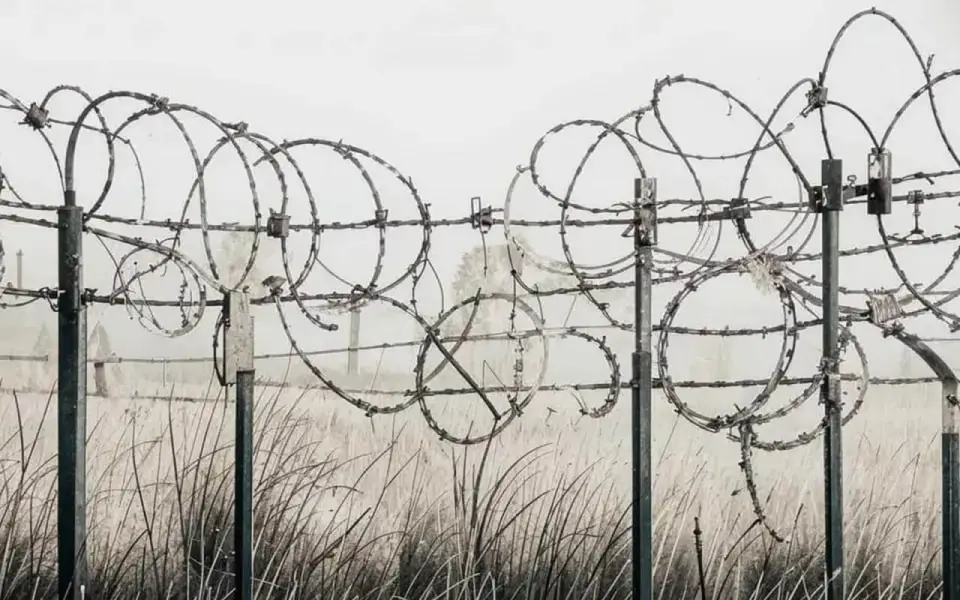Суд подтвердил законность приговора белгородской экс-чиновнице Виктории Шинкарук*  за пособничество терроризму